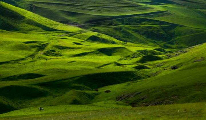 Azərbaycanda ilk dəfə Milli Yaylaq Festivalı keçiriləcək