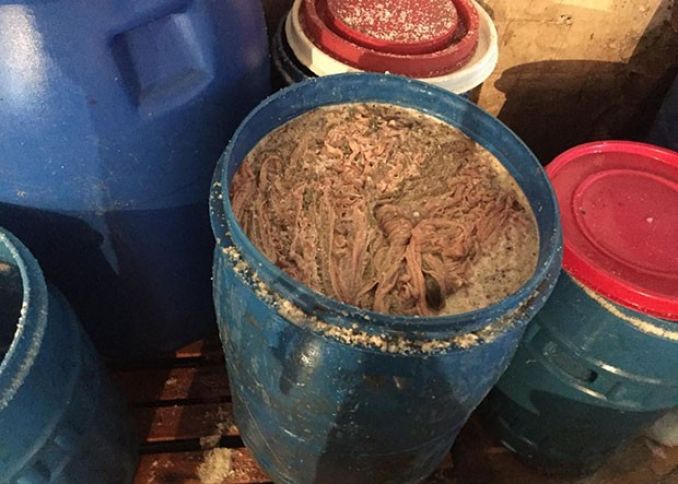 Antisanitar fəaliyyət göstərən bağırsaq emalı müəssisəsi aşkarlanıb