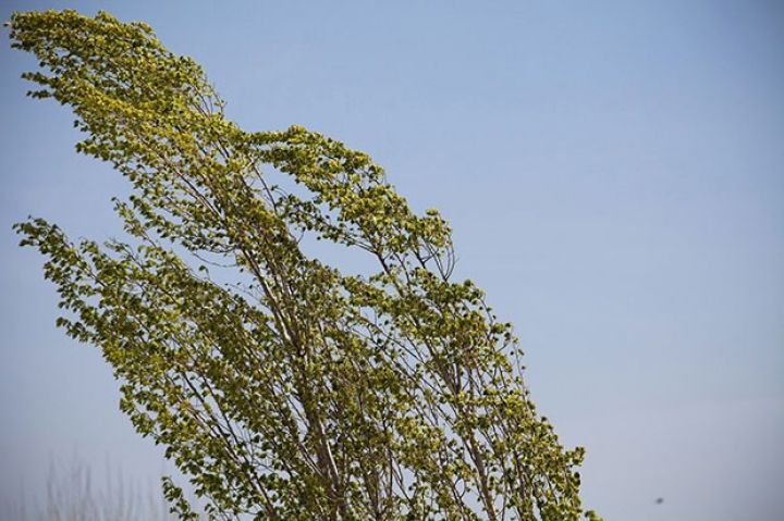 Sabahın hava proqnozu açıqlandı
