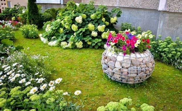 İş adamları obyektlərinin qarşısında yaşıl guşələr yaratmağa dəvət olunur