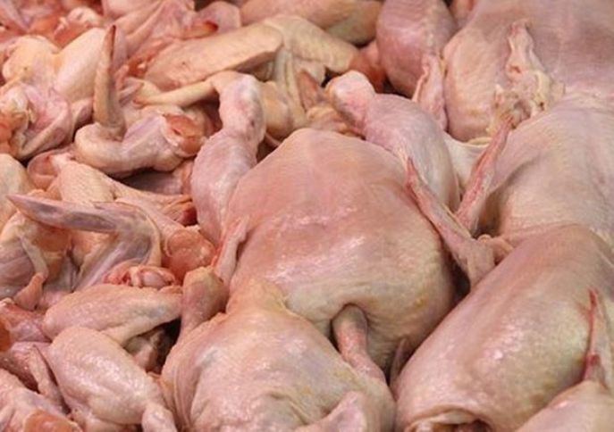 İstifadəyə yararsız bir tona yaxın quş əti aşkar edilib