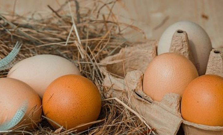 Azərbaycanda ət, süd, pendir və yumurta bahalaşır