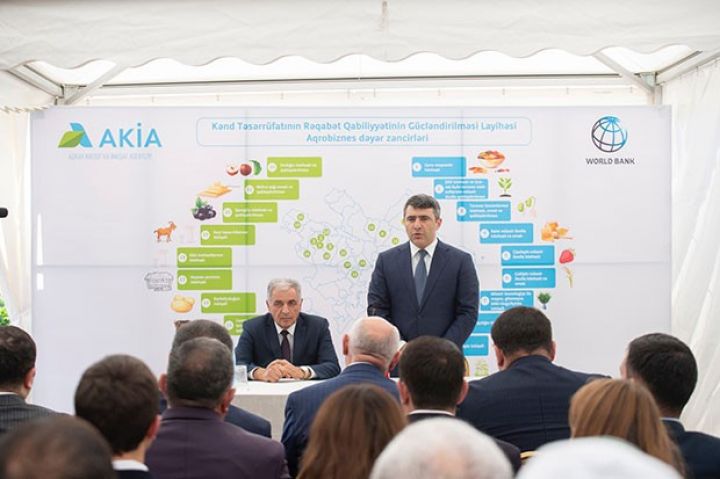 İlk aqrobiznes dəyər zənciri layihələri fəaliyyətə başlayıb