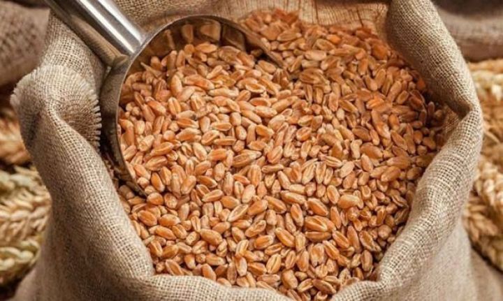 Azərbaycanın buğdada idxaldan asılılığı artır  