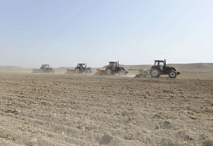 Bu il əkin üçün daha çox sahə şumlanıb 