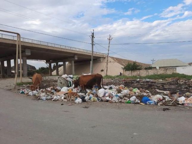 Binəqədi rayonunun rəhbər şəxsləri cəzalandırıldı