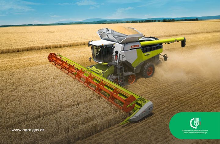 2021-ci il üçün əkin, məhsul və toxum əmsalları, toxum və ting kvotaları açıqlandı