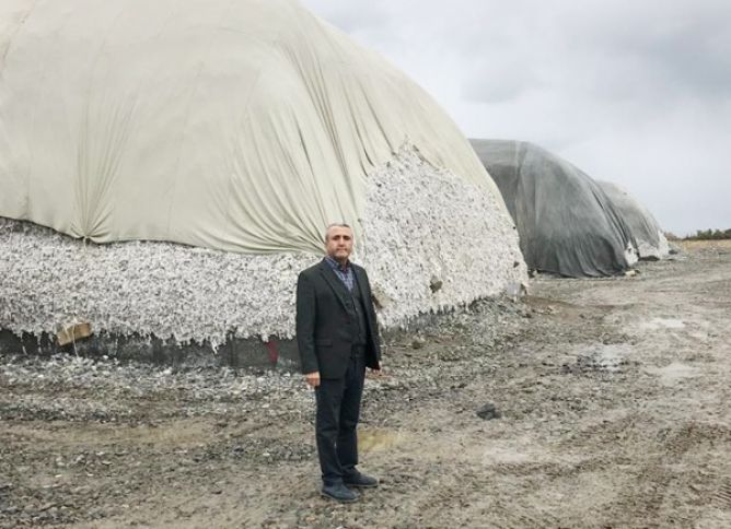 “P-Aqro” MMC-nin Salyan filialı respublika üzrə birincidir