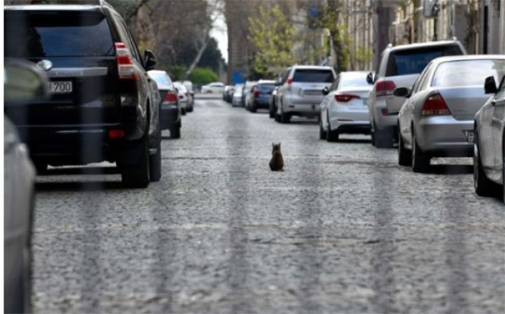 Sabaha olan hava proqnozu açıqlandı