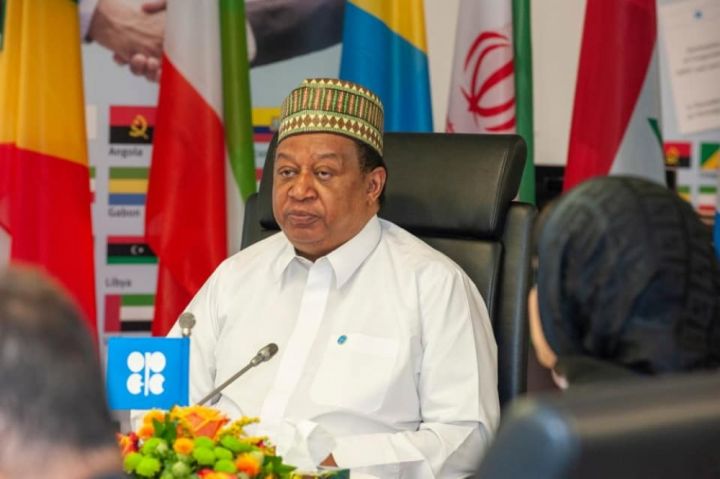 OPEC-in Baş katibi: Tunelin sonunda işıq var və bu, ürəkaçandır