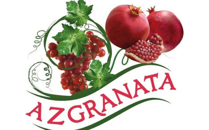 “Azgranata”dan Orduya 100 min manatlıq dəstək!