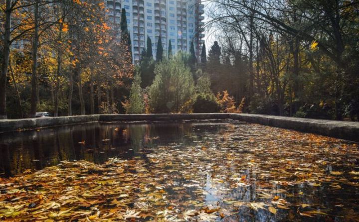 Sabahın hava proqnozu açıqlandı