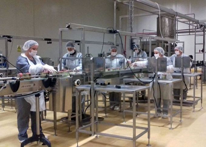 Dövlət iş yerlərində əmək şəraitinə nəzarəti gücləndirəcək - TƏDBİRLƏR PLANI