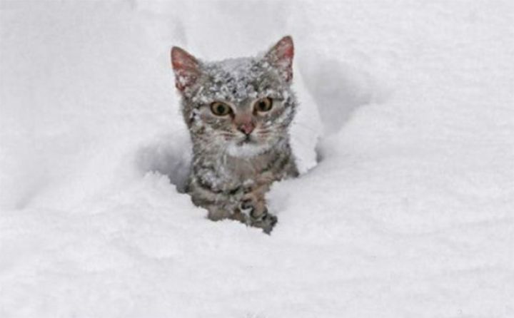 Sabaha olan hava proqnozu açıqlandı