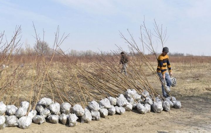 "Bizim biznesdə qızğın dövrdür, birini 1-2 manata satırıq"