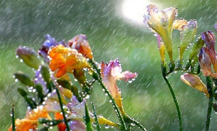 Yağış yağacaq, dolu düşəcək