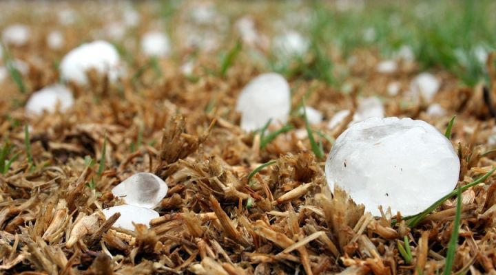 Kənd təsərrüfatına ən çox zərər vuran hadisə - DOLUDAN SIĞORTALANMAQ NEÇƏYƏDİR?