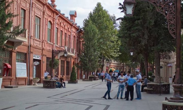 Gəncə şəhərində ətraf mühitin vəziyyəti haqqında məlumatlar açıqlanıb