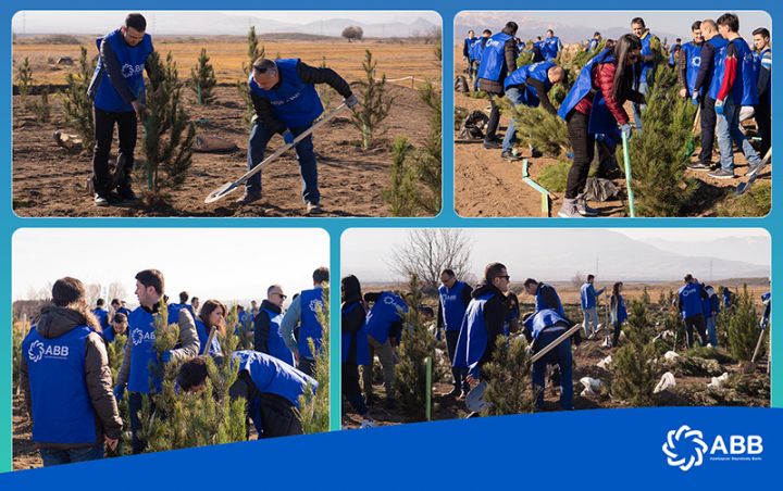 ABB Ağdamda ağacəkmə aksiyası keçirdi!