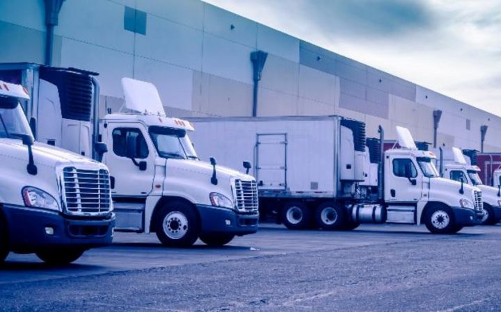 Permdə Azərbaycandan idxal olunan tərəvəzlər üçün logistika mərkəzi yaradılacaq