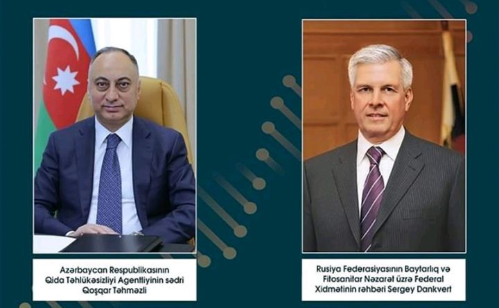 Azərbaycandan Rusiyaya pomidor ixracının artmasına şərait yaradacaq peyvənd hazırlanır