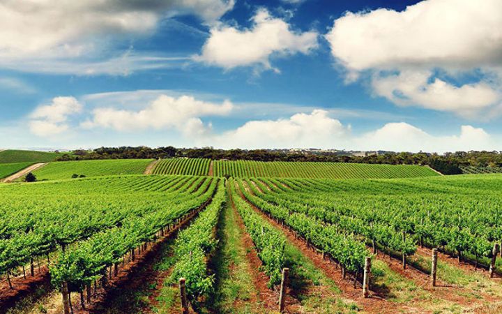 Aqrar şirkətdə növbədənkənar yığıncaq keçiriləcək