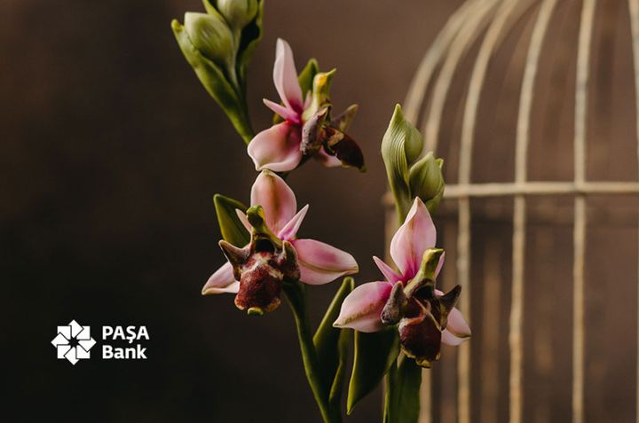 PAŞA Bank "Qarabağ Dirçəliş Fondu”na 500 min manat ianə köçürüb