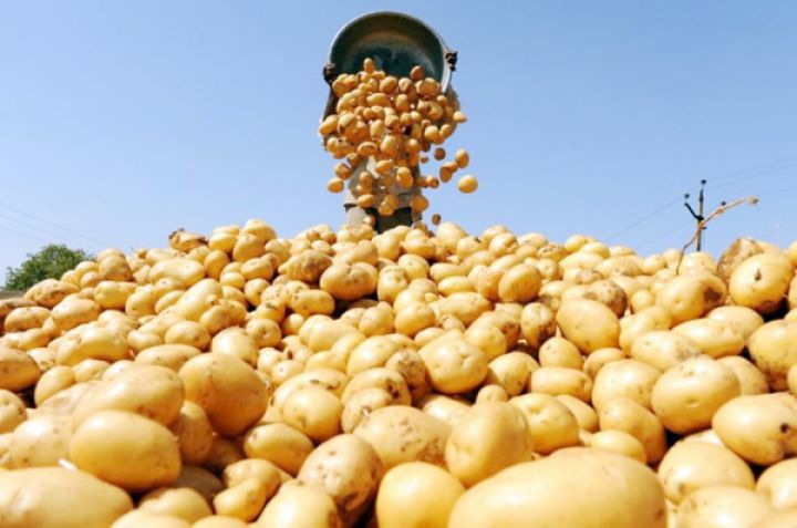 "Keçən il satışda müəyyən problemlər yaşandı"