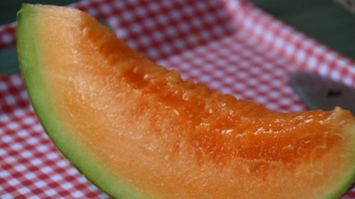 Yapon Yubari qovunu 24 min 850 dollara satıldı