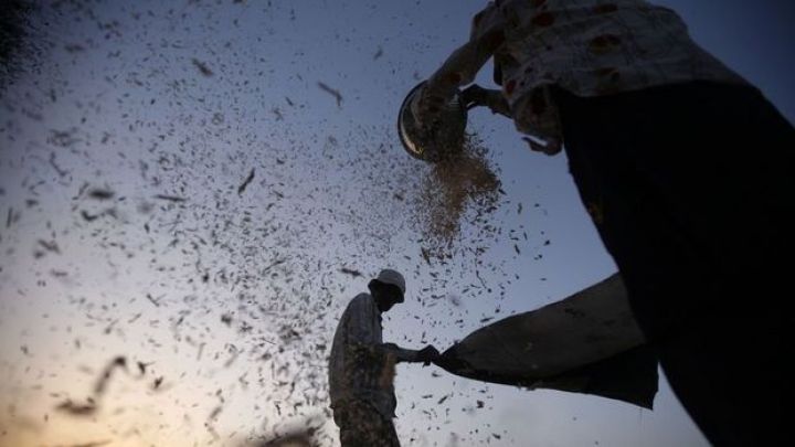 Dövlət Xidməti ərzaq qıtlığı olacağı ilə bağlı yayılan məlumatlara reaksiya verdi
