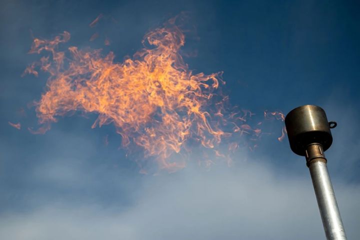 Avropada qazın qiyməti yenidən artıb