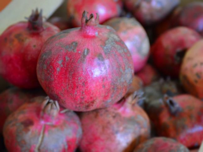 Azərbaycandan 18 milyon dollarlıq nar ixrac edilib - TONU 2331 MANATDAN