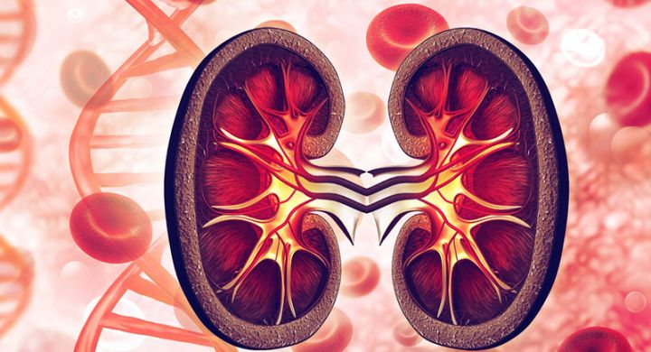 Bir böyrək 30 min manata - SABİQ İCRA BAŞÇISININ ADI ORQAN ALVERİNDƏ HALLANIR