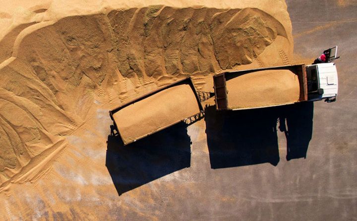 Azərbaycan buğda istehsalına rekord məbləğdə maliyyə vəsaiti ayırır