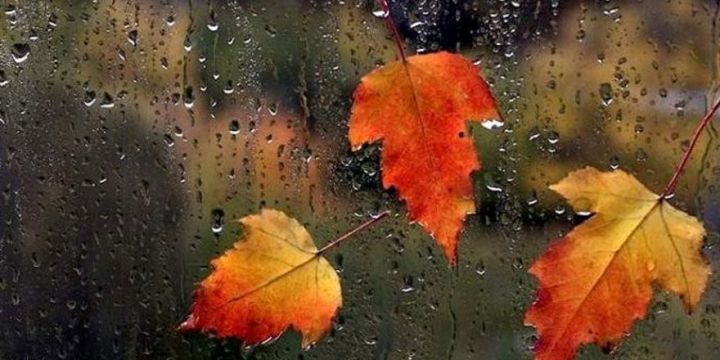 Noyabrın son günü gözlənilən hava açıqlanıb