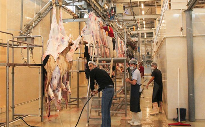 Dövlət heyvan kəsim məntəqəsi tikəcək