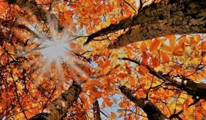 Oktyabrın 22-də gözlənilən hava şəraiti