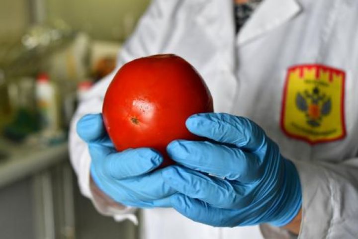 İyunda “Rosselxoznadzor” Azərbaycan və İrandan 100 tondan artıq  məhsulların idxalına qadağa qoyub