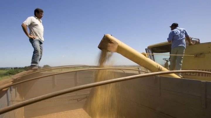 Bu il Azərbaycanda 3 milyon tondan çox taxıl istehsal edilib