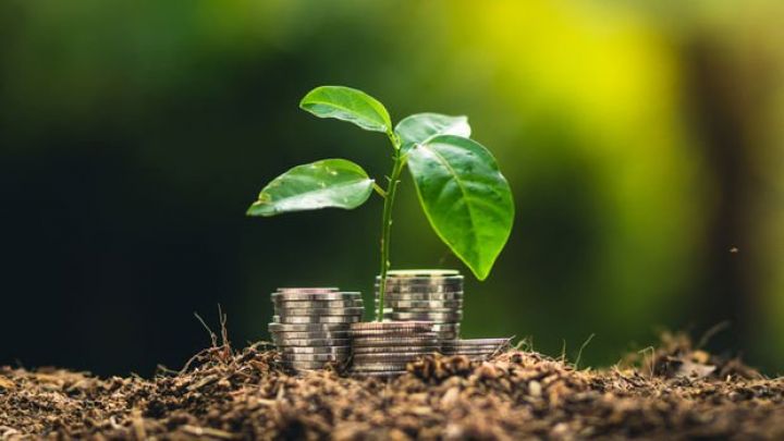 Daha bir mərkəzi bank "yaşıllaşır"