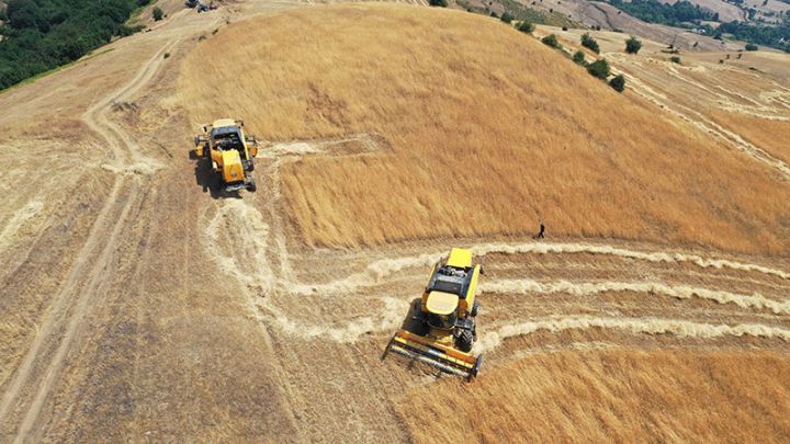 Prezident: Qarabağda taxılın  məhsuldarlığı 1 tondan da aşağıdır