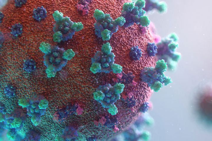 Azərbaycanda  koronavirusun yeni ştamına yoluxanların sayında artım müşahidə olunur - BİRGƏ MƏLUMAT