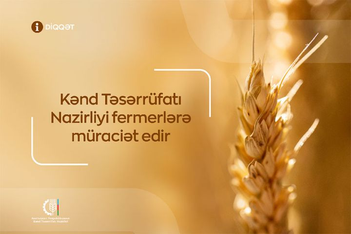 Kənd Təsərrüfatı Nazirliyi buğda istehsalçılarına müraciət etdi