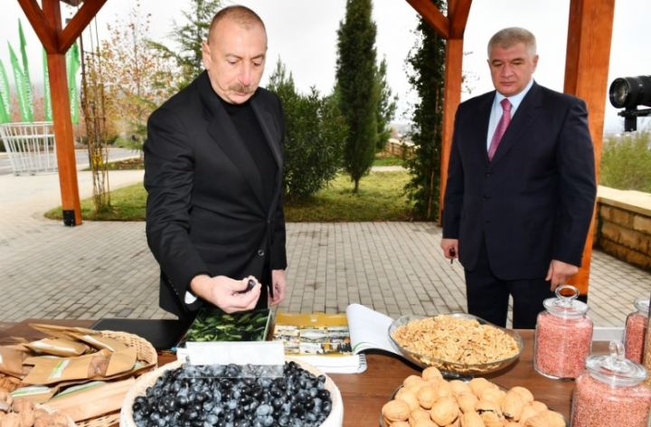 “Şəki-Oğuz” aqropark 100 milyon manata yaxın xərclənərək yaradılıb