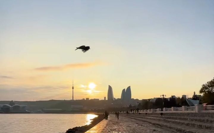 Avqustun 10-na olan hava proqnozu