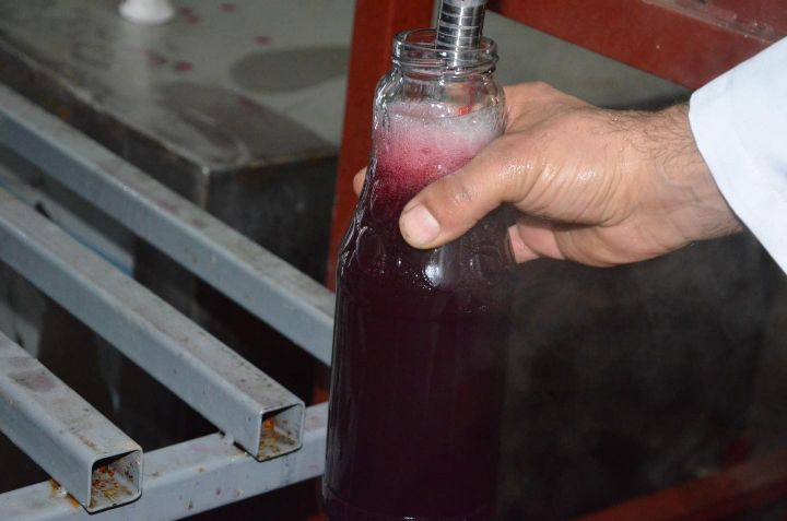 Nar emalı müəssisəsi istifadəyə verilib