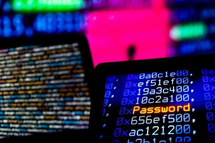 Azərbaycanlı qadın tələbə dünyanın ən yaxşı 50 “haker”i arasına düşüb