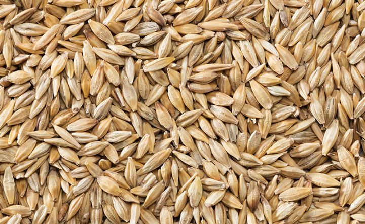 Azərbaycandan arpa ixracına ETİRAZ