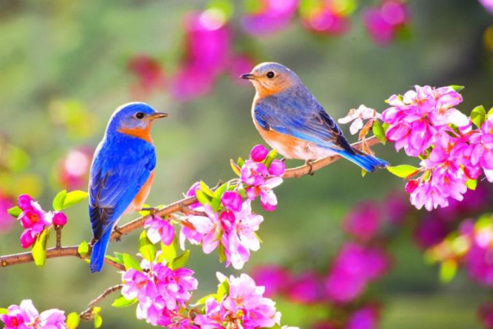 May ayına olan hava proqnozu açıqlanıb
