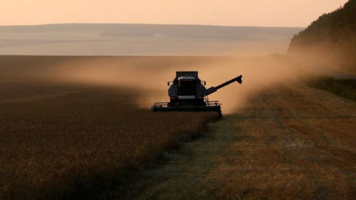 Taxıl müqaviləsinin yenilənməsində mühüm tarix